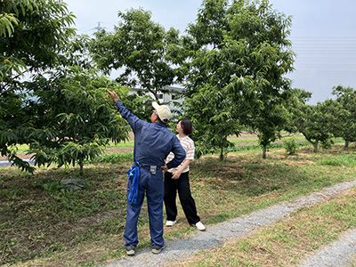 10本の栗の木＋馬渕さん・稲富さん