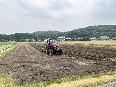 トラクターを運転する奥川さん、圃場広い画