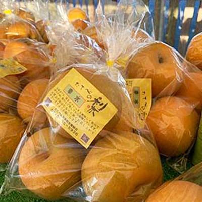 滋賀プレゼント