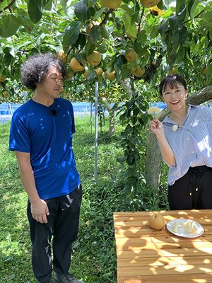 試食