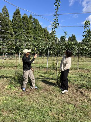 苗木を見る畑中さん