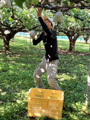 作業をする畑中さん