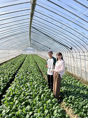 ホウレンソウ畑背景に新開さん+西上さん、圃場での新開さん作業