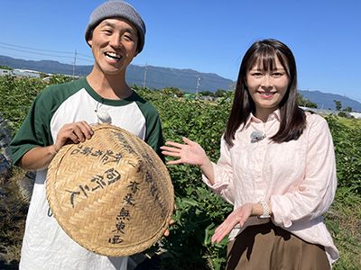 お遍路さんの傘