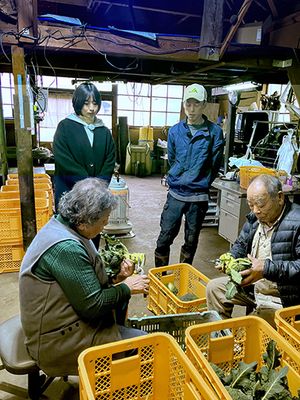 ブロッコリー選別（父・母・本人）