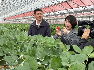 イチゴハウス内で並川さん＋稲富さん