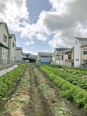 ハウス前で稲富さん