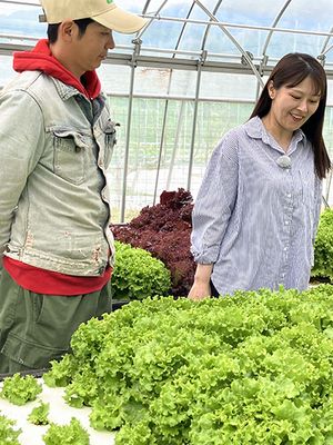 収穫体験