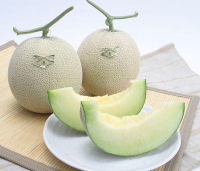 滋賀プレゼント