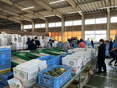選果場