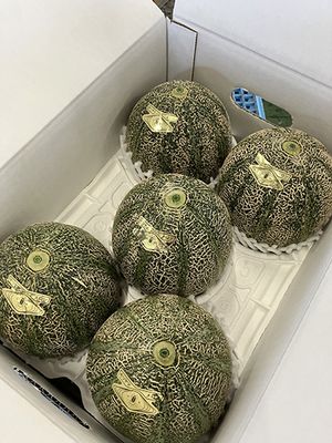 箱の中のモリヤマメロン