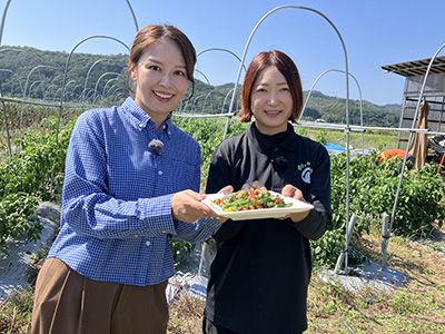 料理