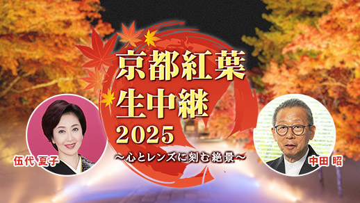 京都紅葉生中継2025 心とレンズに刻む絶景