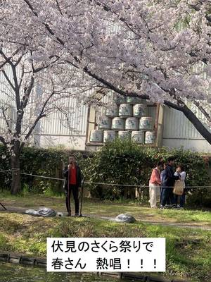 koi_202504-20cdadbc096470a1516769c14f8a939cebdb492c.jpg